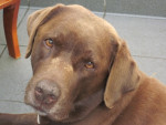 Max., wat een bijzondere uitdrukking!